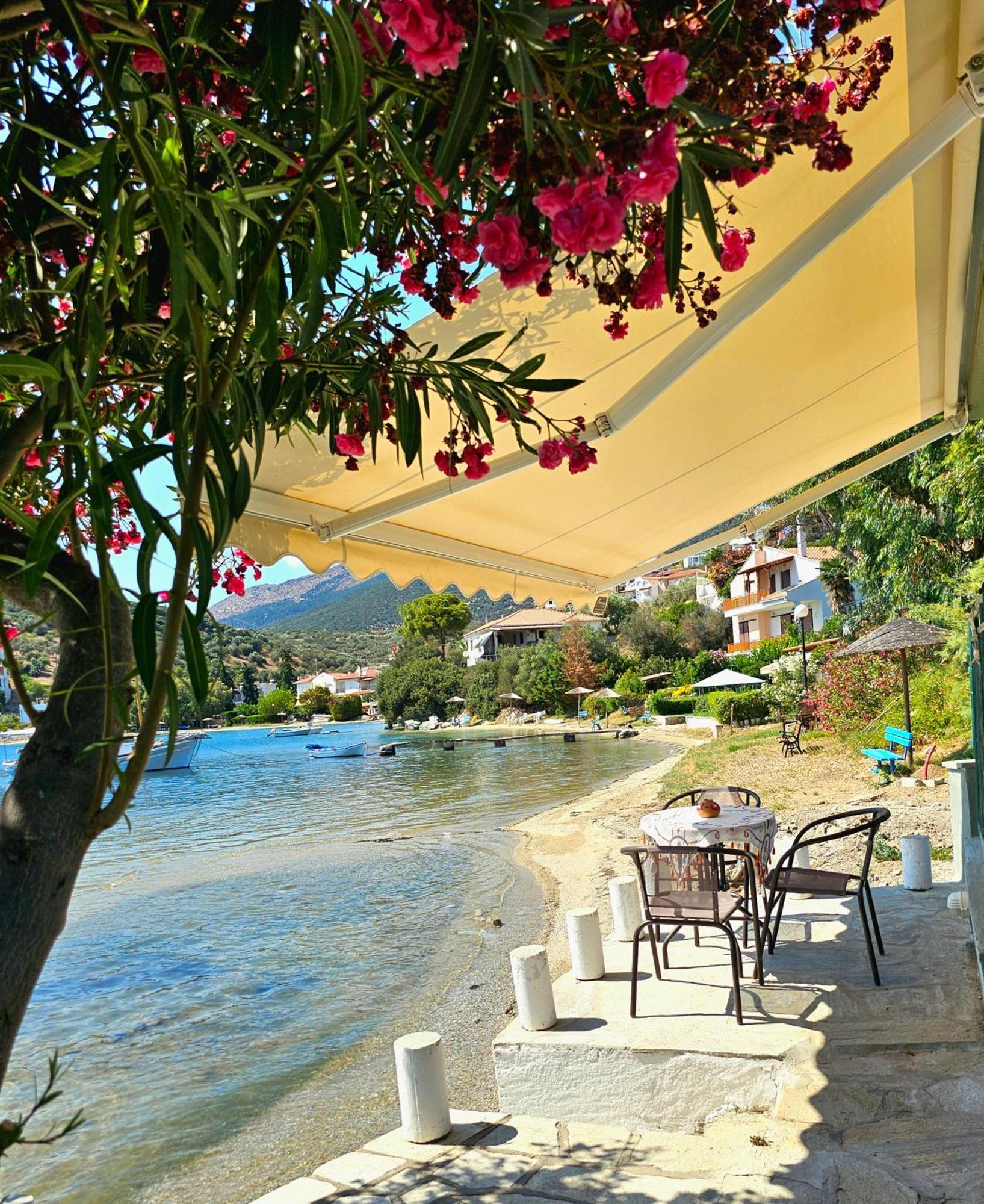 Villa Polianthi Seaside House Marathos  Esterno foto